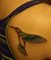 koliber tatuaż na łopatce