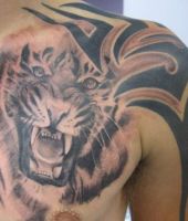 lew i tribal na barku