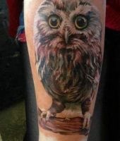 mała sowa tatuaż