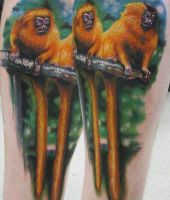 małpy tatuaże