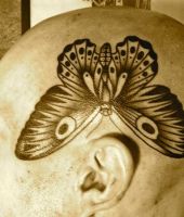 motyl tatuaż na skroni