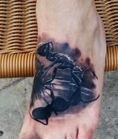 mrówka tatuaż na stopie