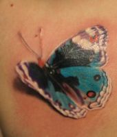 niebieski motyl tatuaż na łopatce