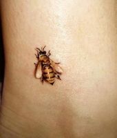 pszczoła na nodze