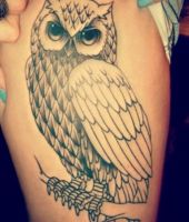 sowa tatuaż na żebrach