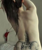 szkielet kręgosłupa