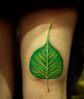 zielone liście