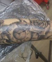 galeria zdjęć 6596